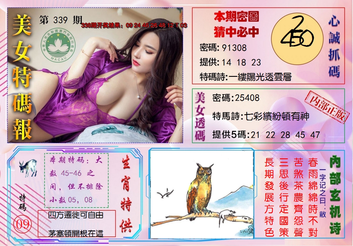 2024339期美女特码报