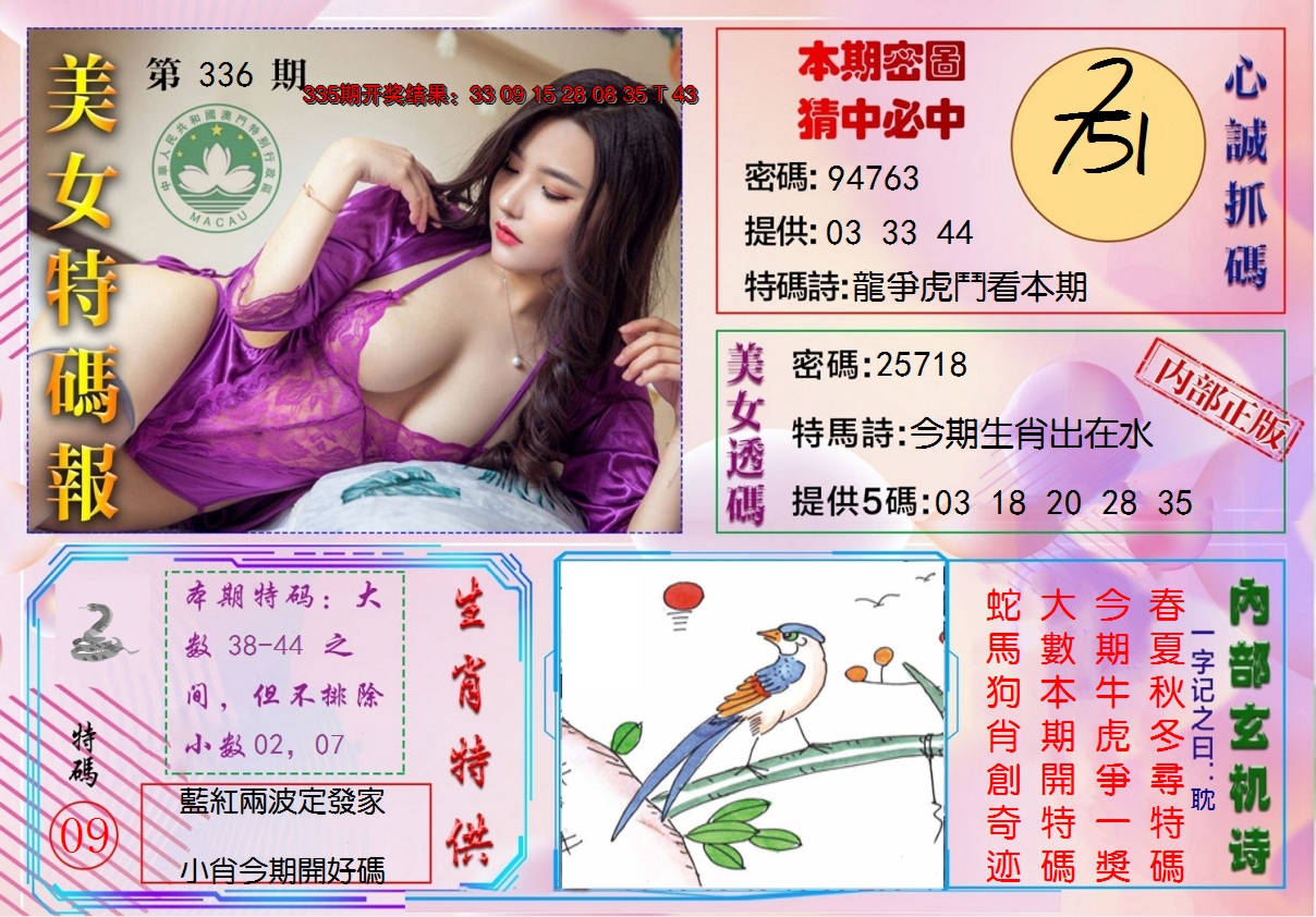2024336期美女特码报