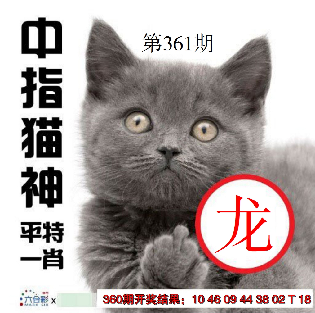 2024361期中指猫神