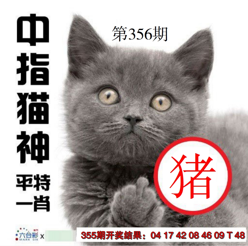 2024356期中指猫神