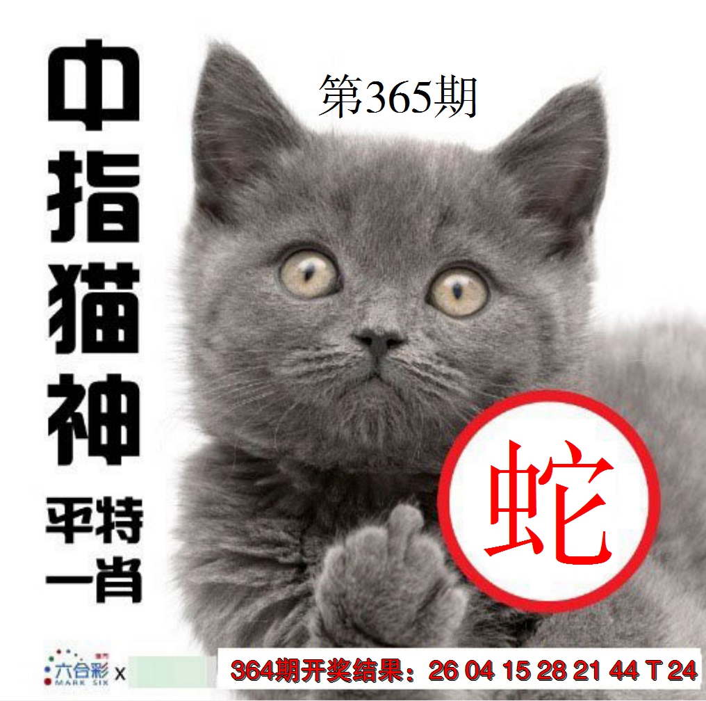 2024365期中指猫神