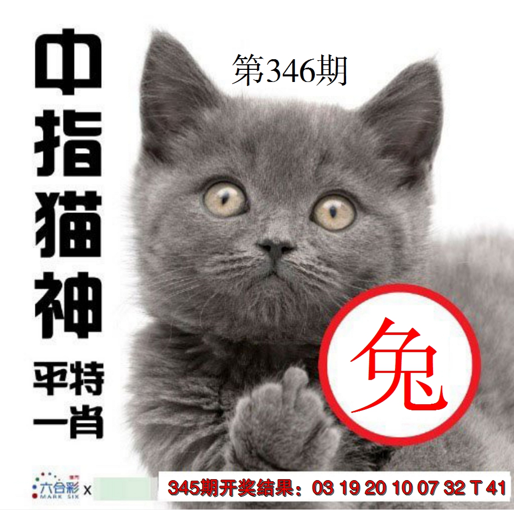 2024346期中指猫神