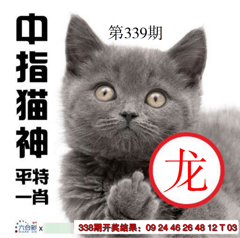 2024339期中指猫神
