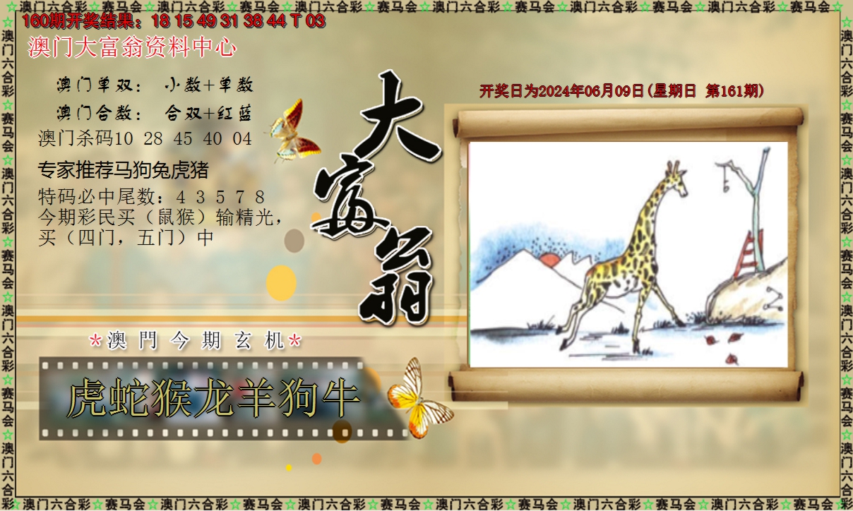 2024161期新大富翁