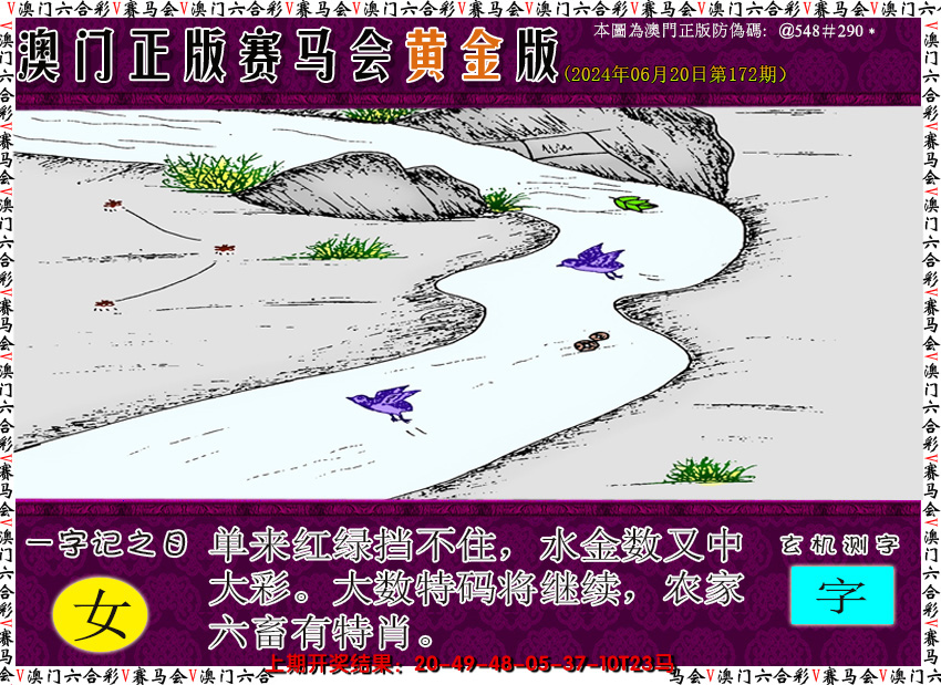 2024172期赛马会黄金版