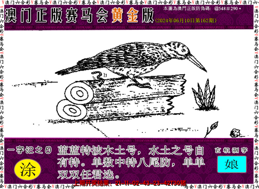2024162期赛马会黄金版