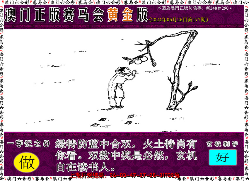 2024177期赛马会黄金版