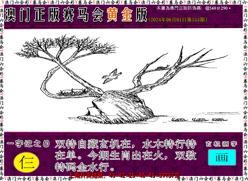 2024153期赛马会黄金版