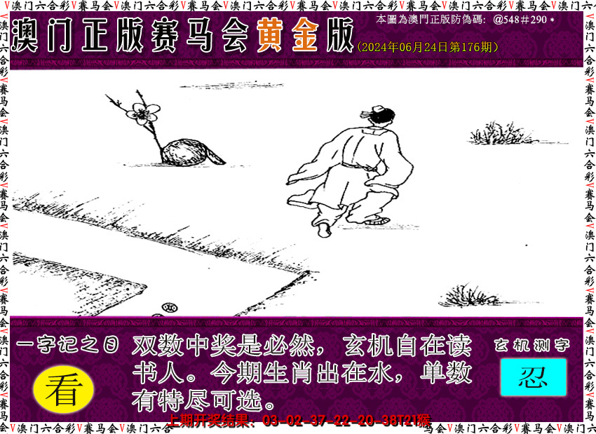 2024176期赛马会黄金版