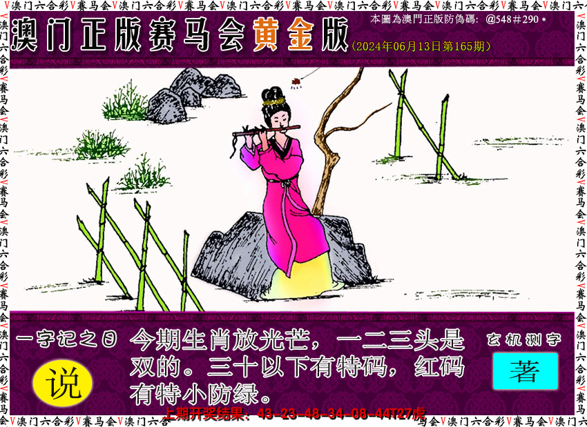 2024165期赛马会黄金版