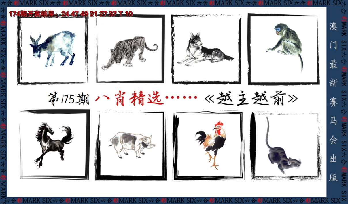 2024175期八肖精选