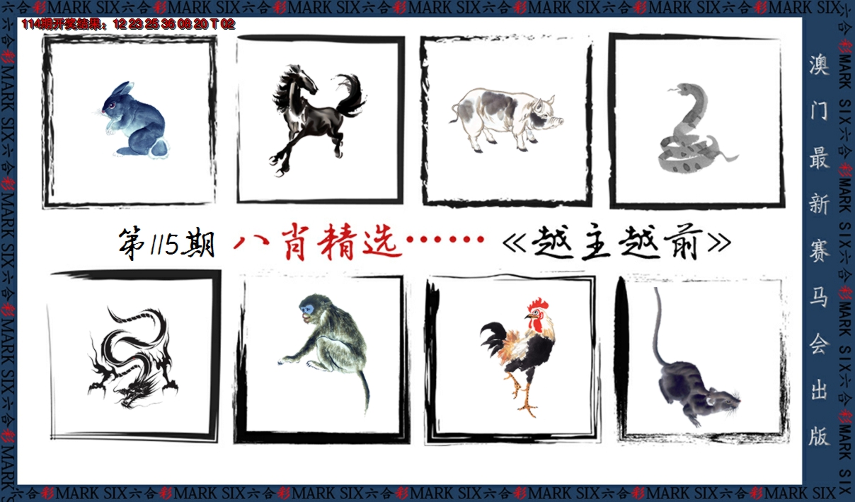2024115期八肖精选