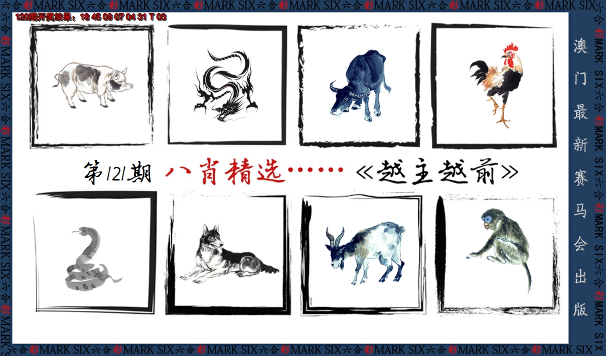 2024121期八肖精选