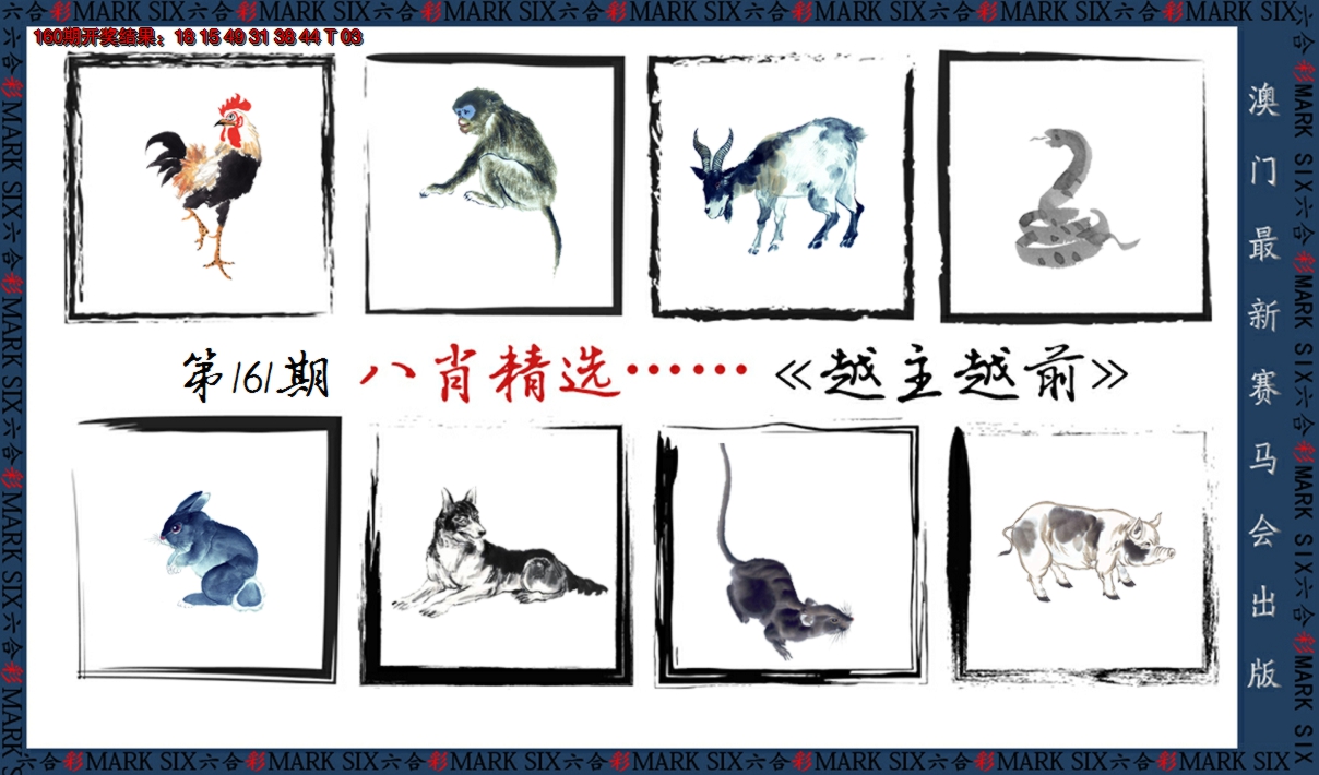 2024161期八肖精选