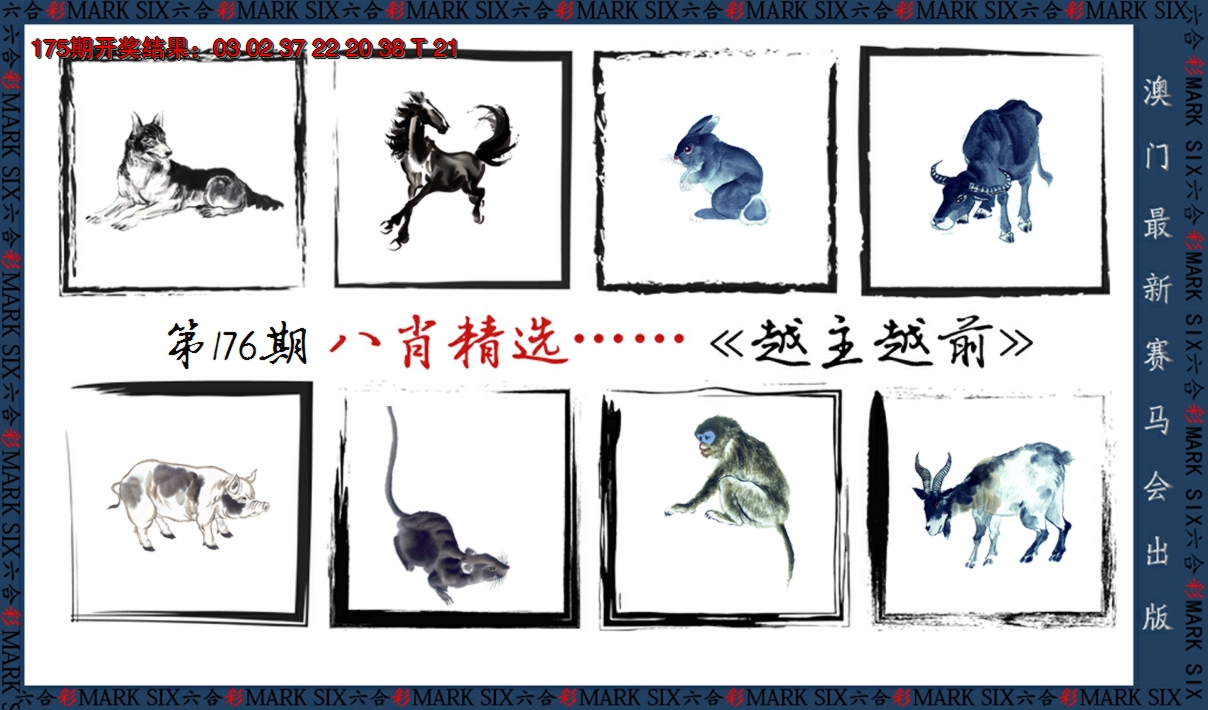 2024176期八肖精选