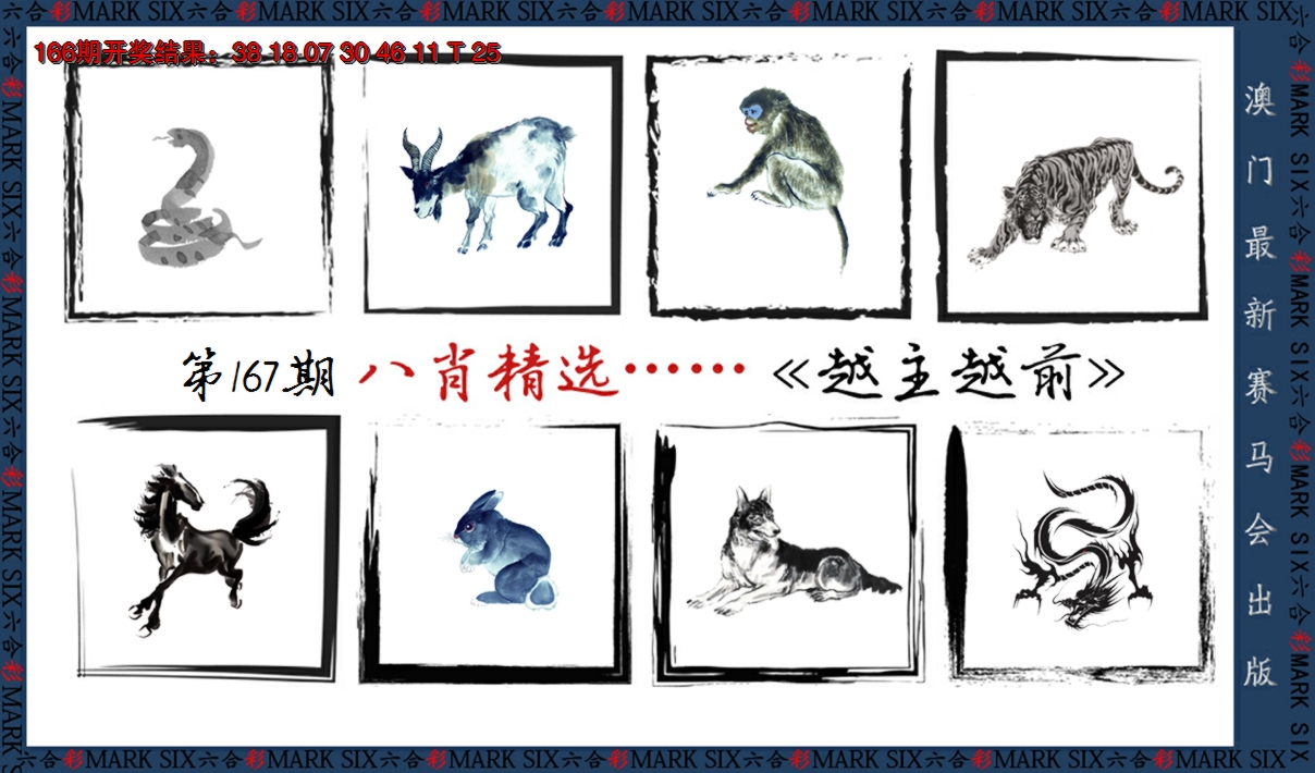 2024167期八肖精选