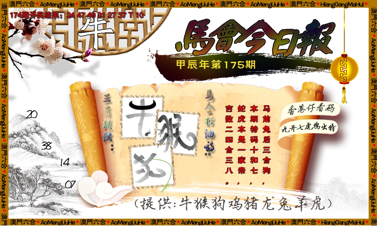 2024175期马会今日报
