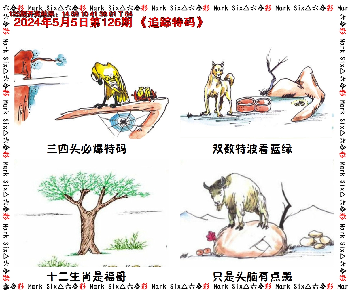 2024126期追踪特码