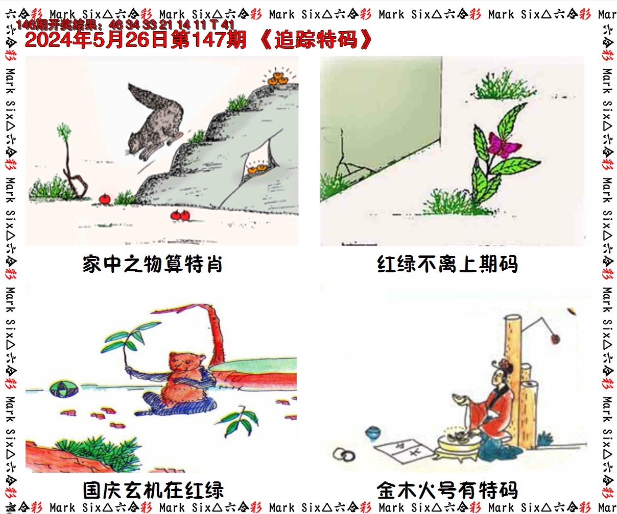 2024147期追踪特码