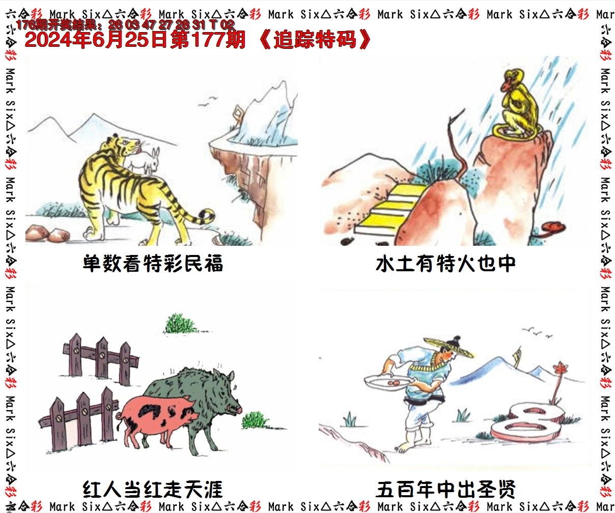 2024177期追踪特码