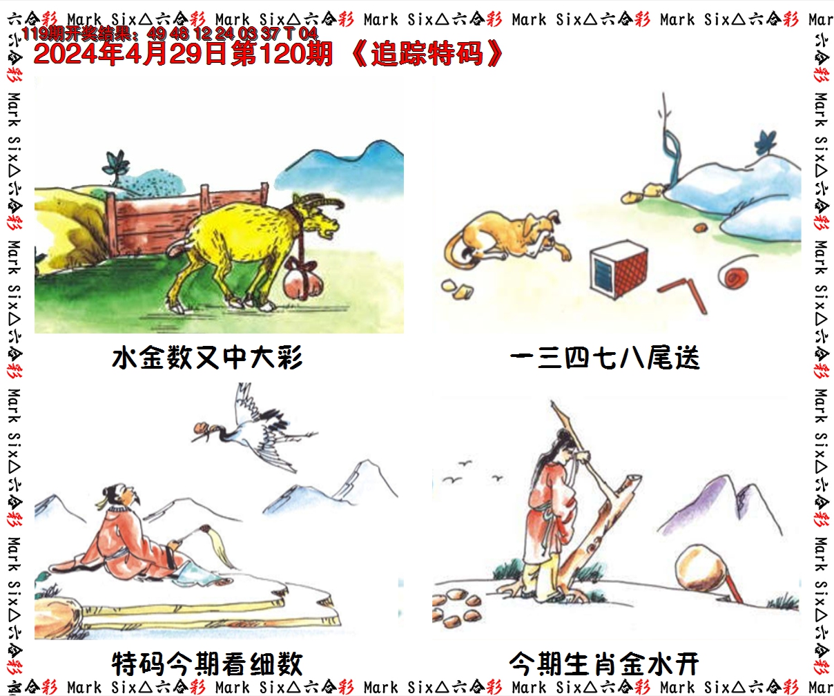 2024120期追踪特码