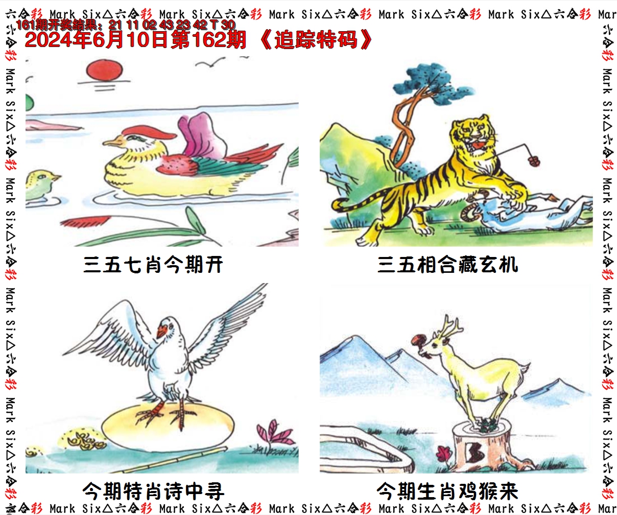 2024162期追踪特码