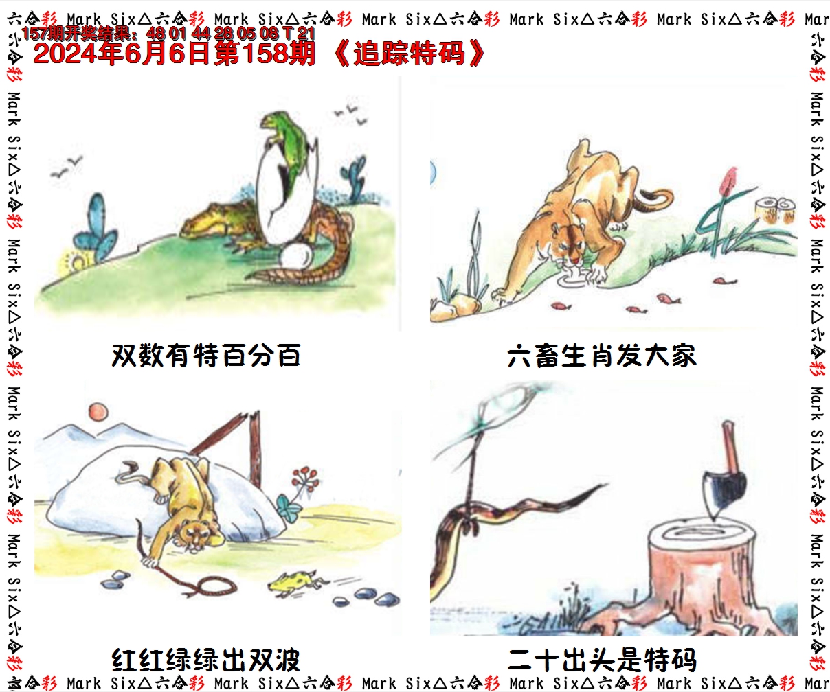 2024158期追踪特码