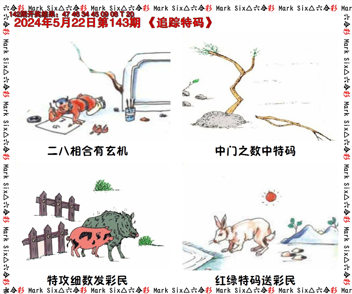 2024143期追踪特码