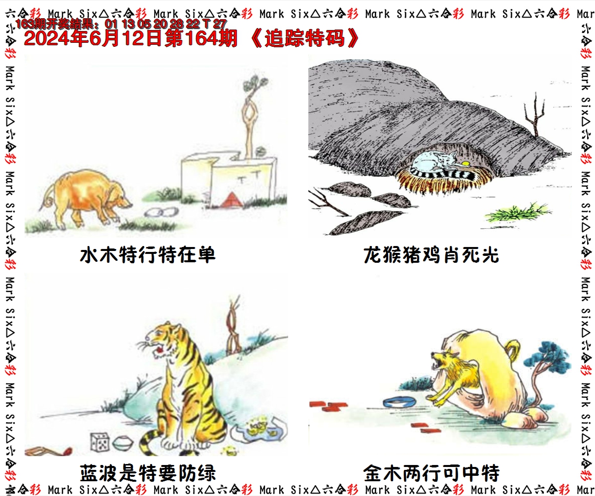 2024164期追踪特码