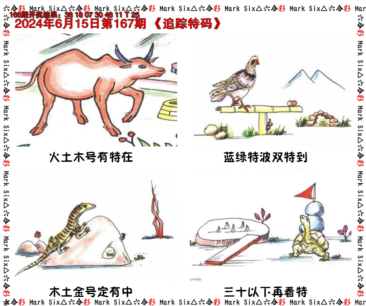 2024167期追踪特码