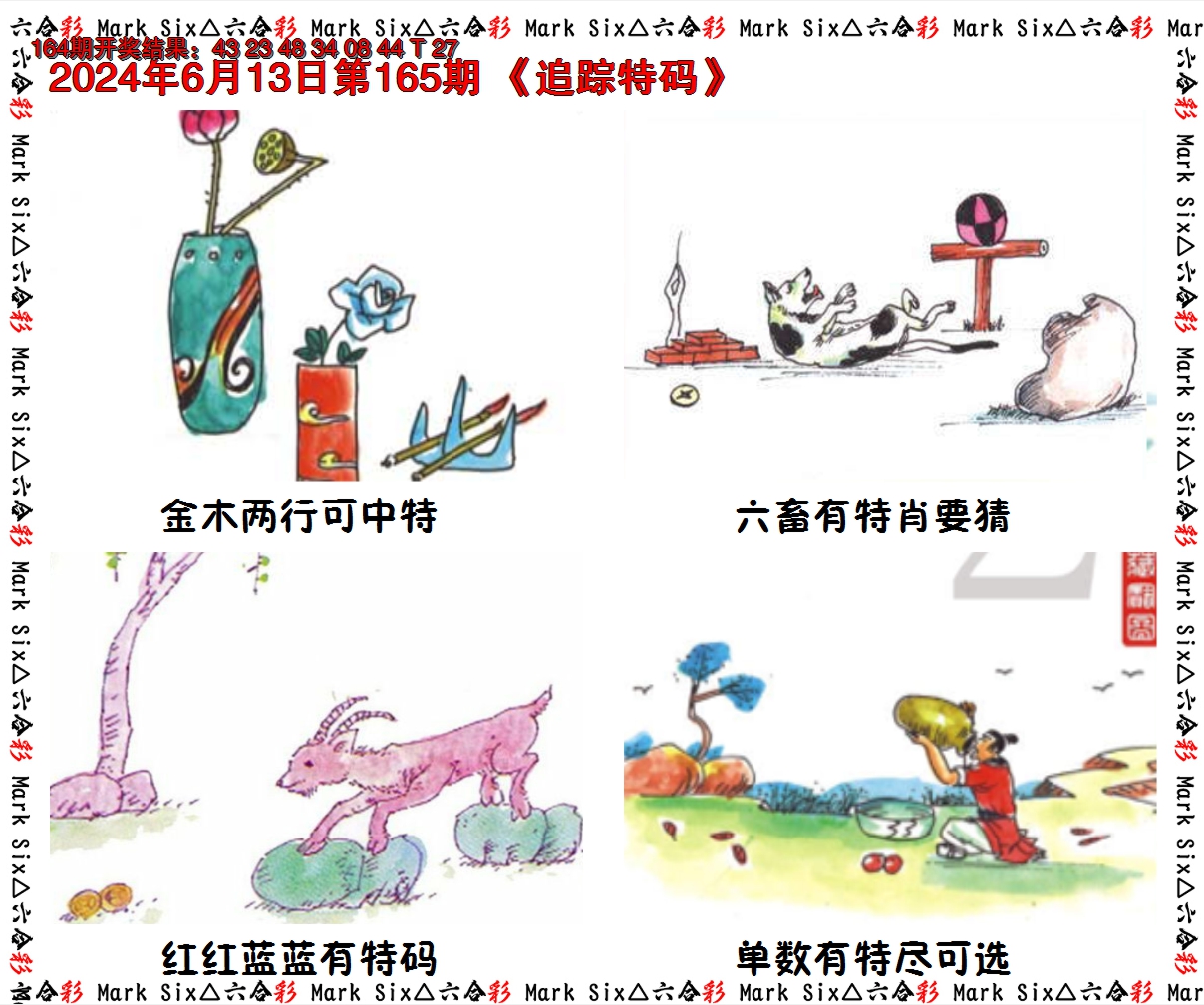 2024165期追踪特码