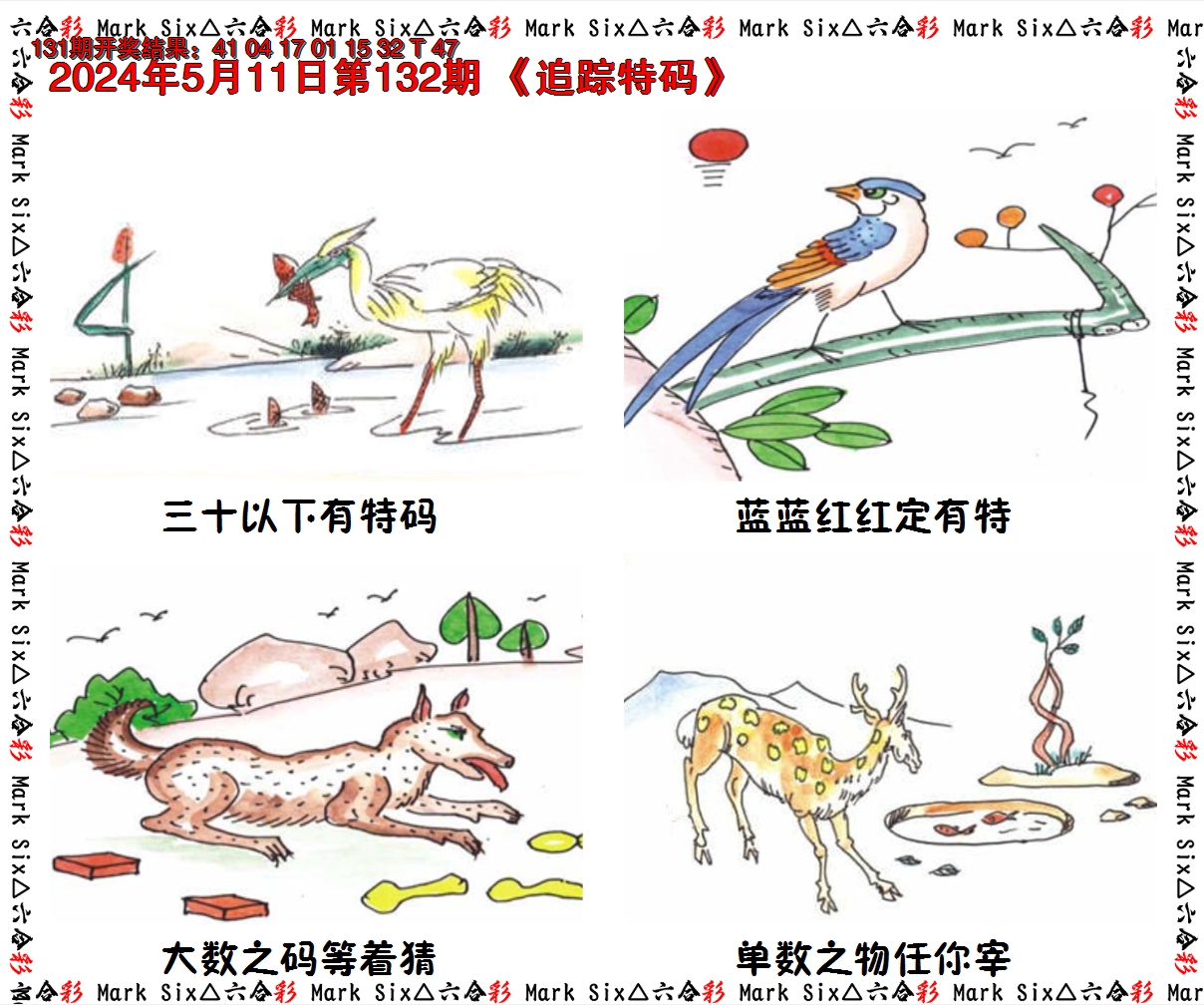 2024132期追踪特码