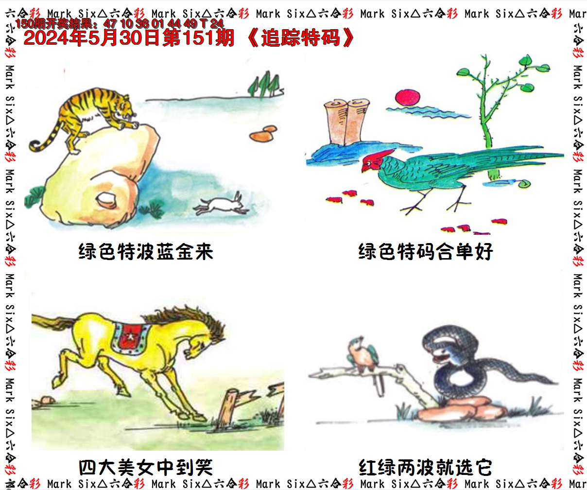 2024151期追踪特码