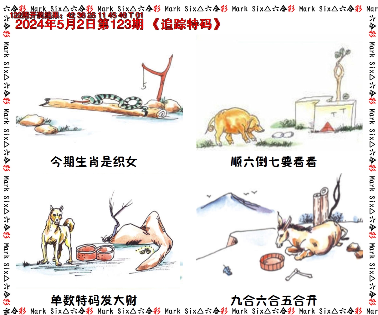 2024123期追踪特码