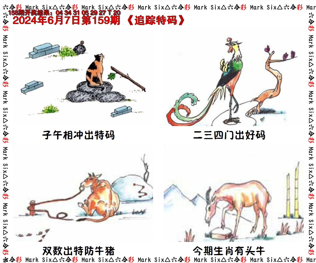 2024159期追踪特码