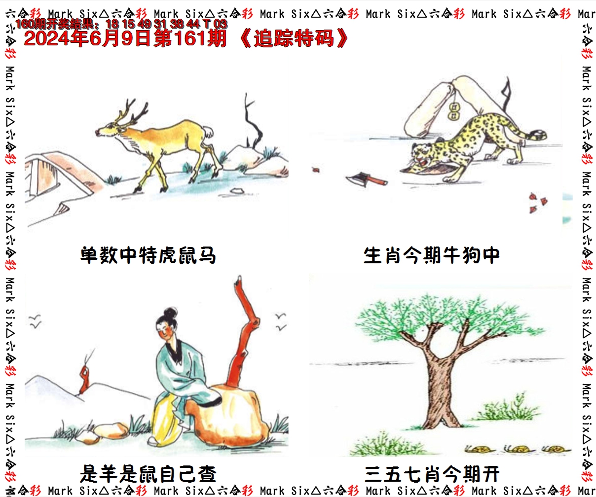 2024161期追踪特码