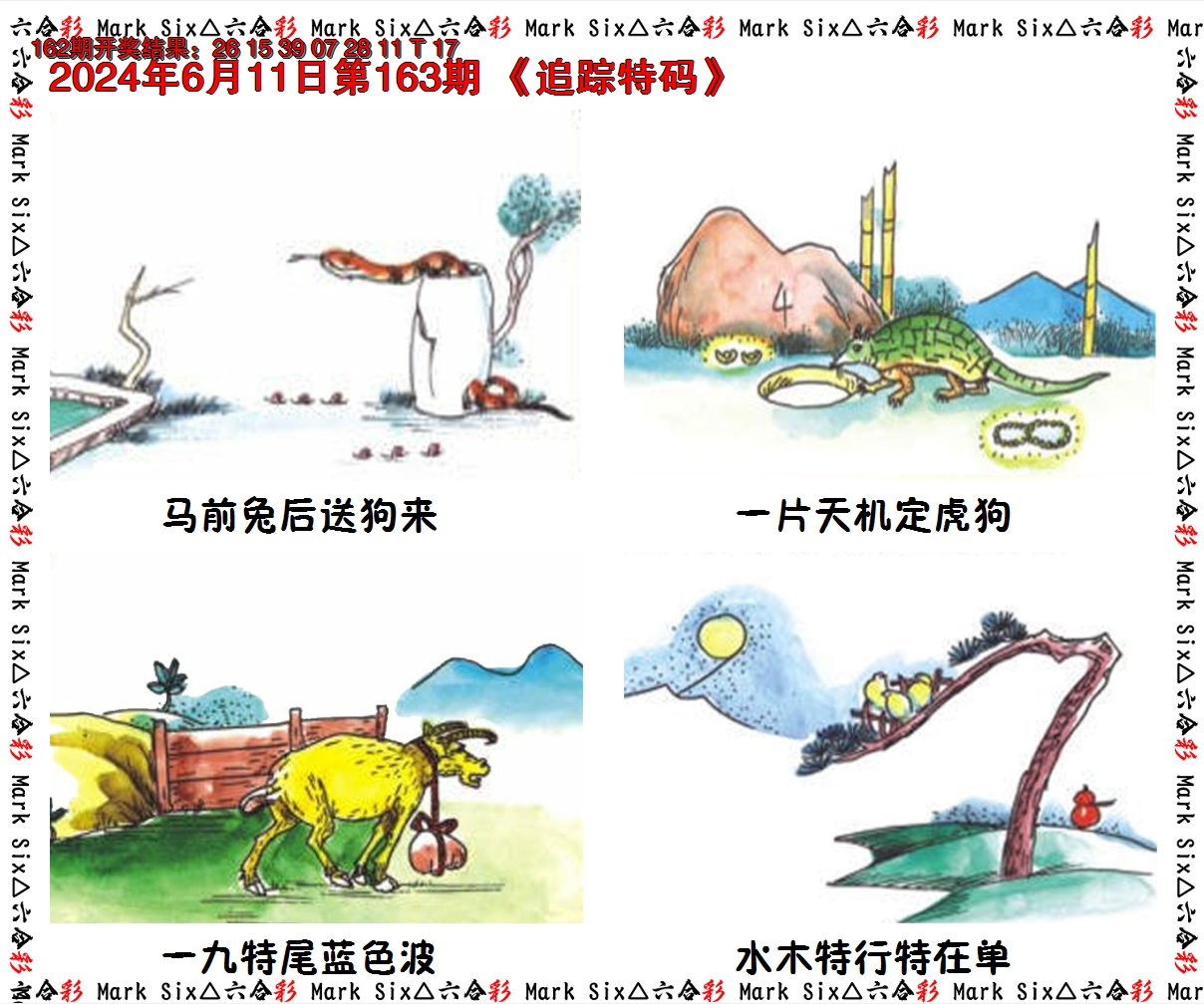 2024163期追踪特码