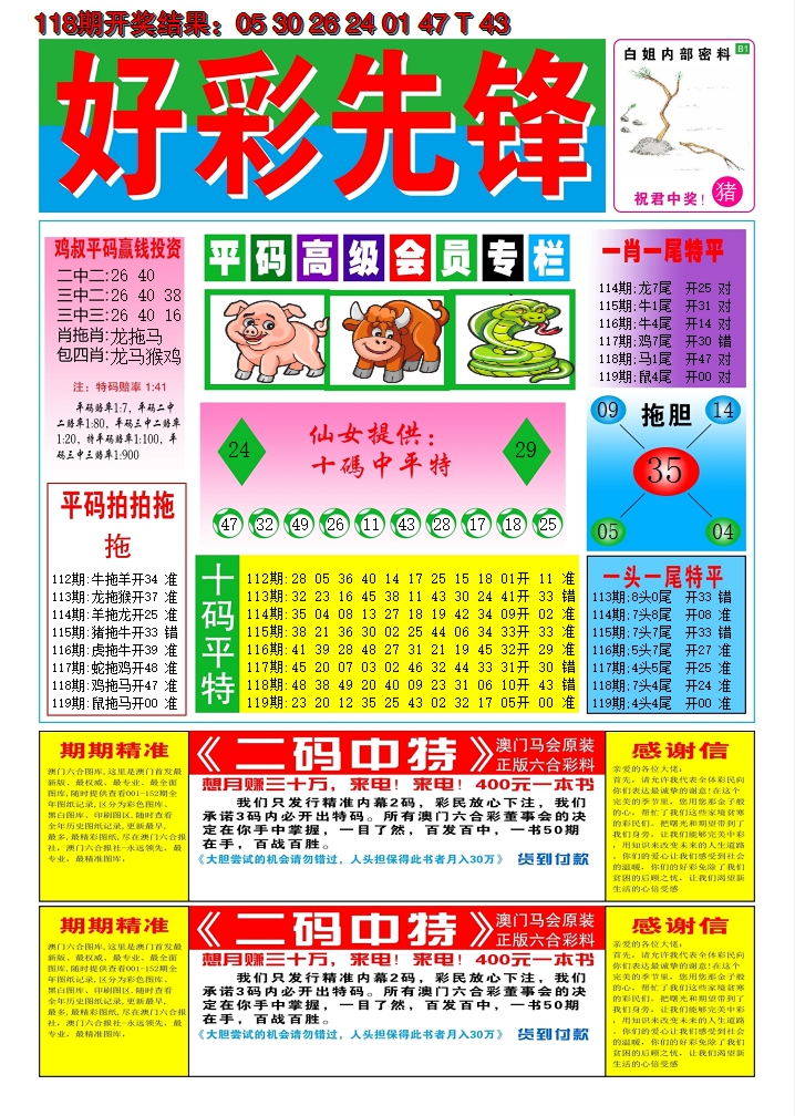 2024119期好彩先锋D