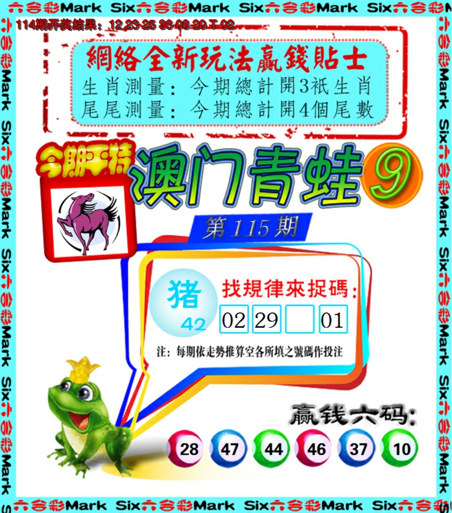 2024115期青蛙系列9