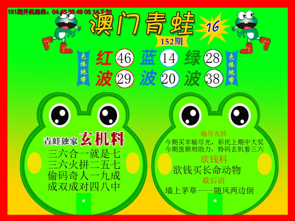 2024152期青蛙系列16
