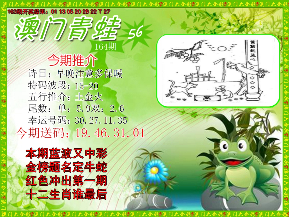2024164期青蛙系列56