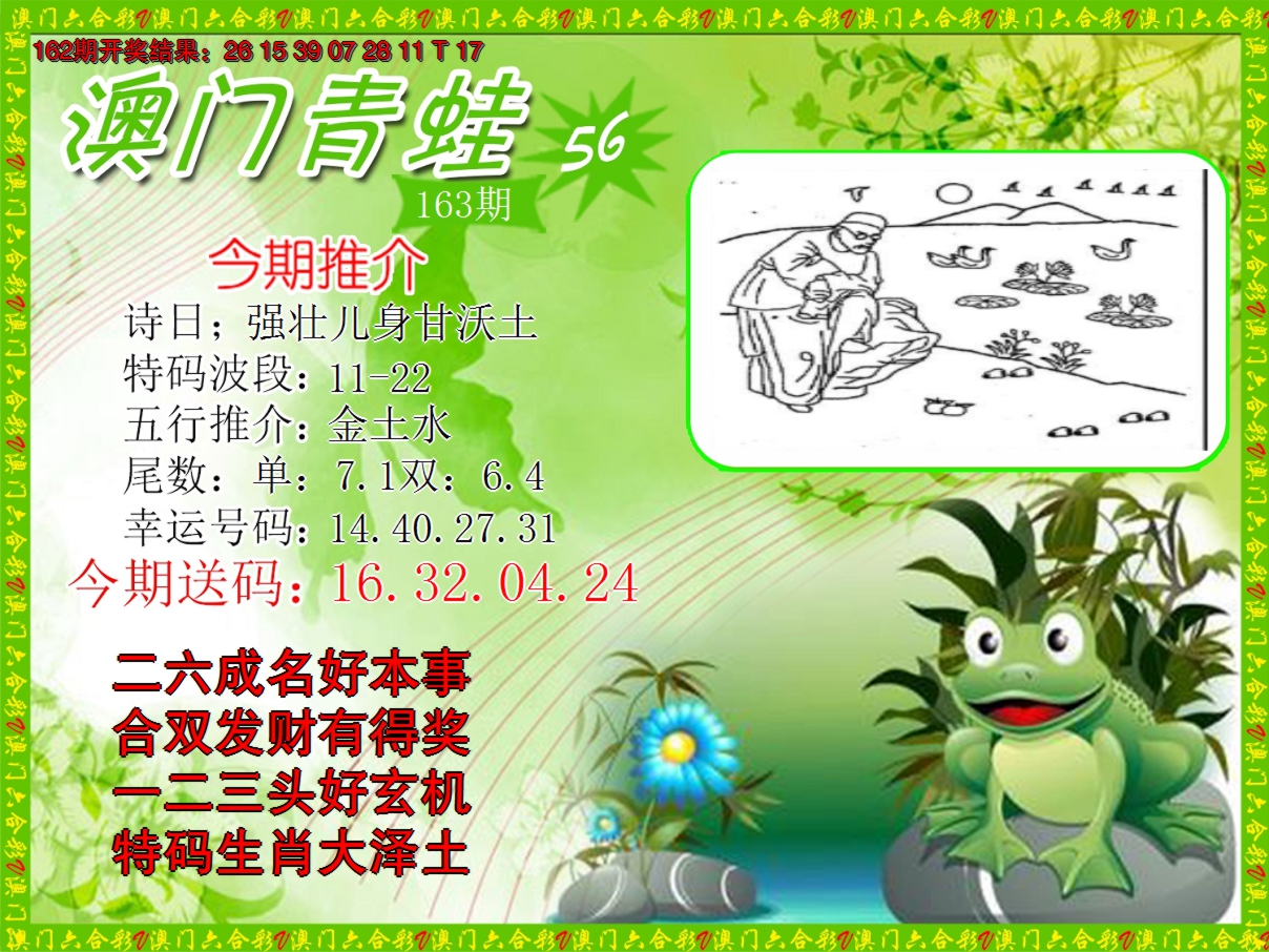 2024163期青蛙系列56