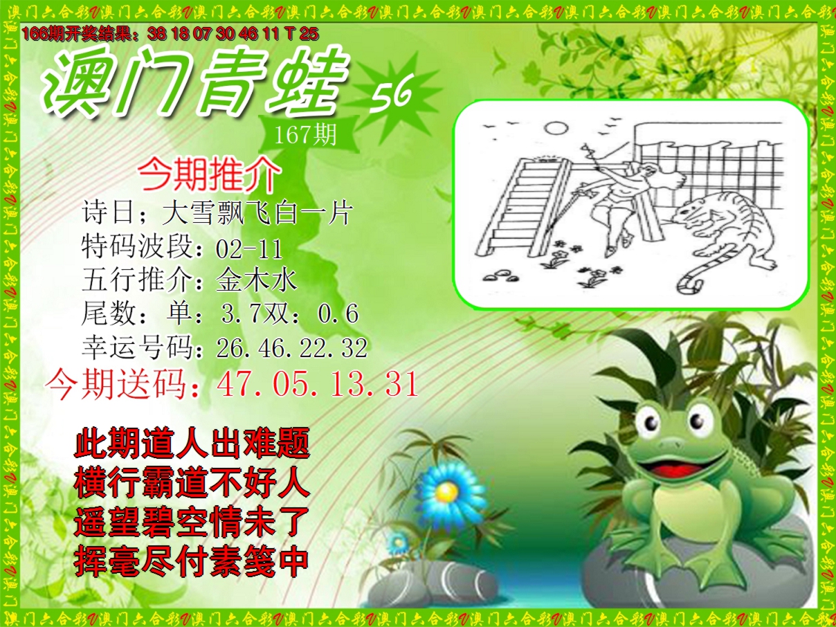 2024167期青蛙系列56