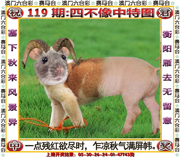 2024119期四不像中特图