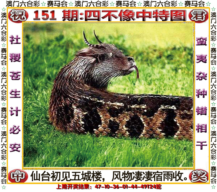 2024151期四不像中特图