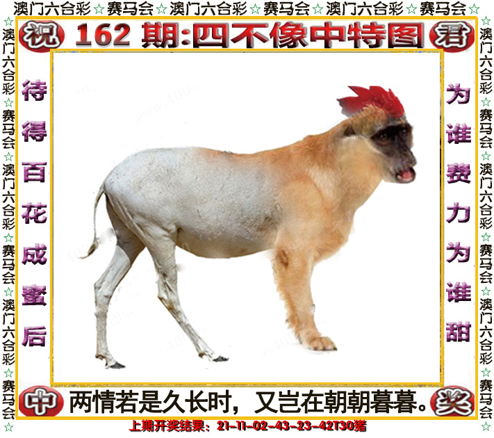 2024162期四不像中特图