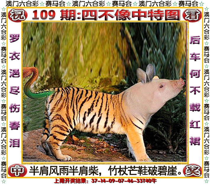 2024109期四不像中特图