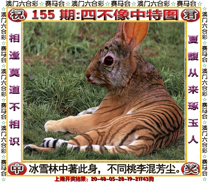 2024155期四不像中特图