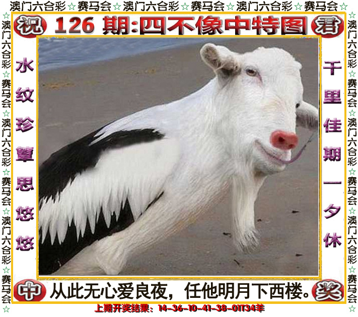 2024126期四不像中特图