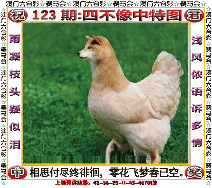 2024123期四不像中特图